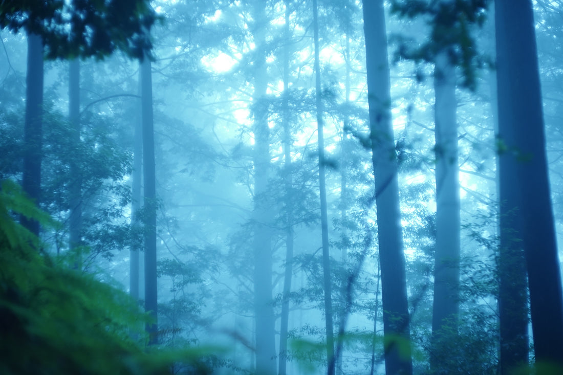 東洋医学のベース、気血津液