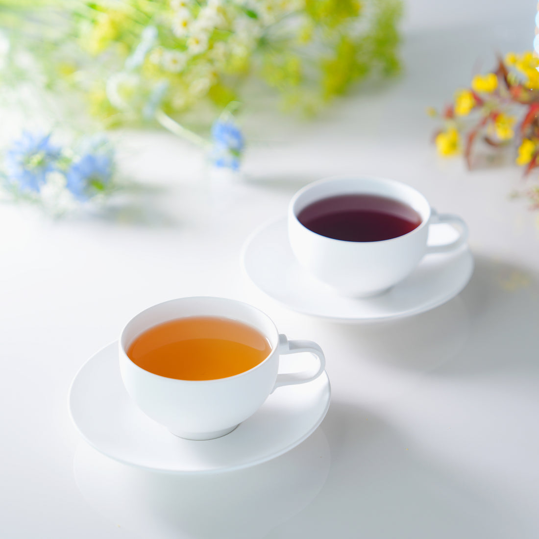 はじめまして、香艸茶 うゑるかをる(こうそうちゃ うえるかおる) です