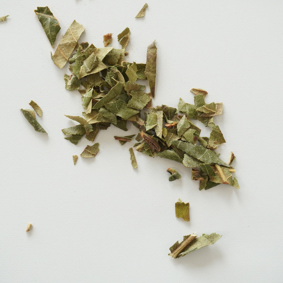 【秋季限定】香艸茶 滋 -ji-