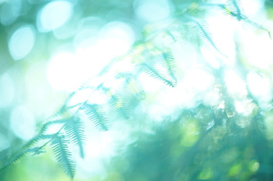 【大切なおしらせ】季節の節目にひらく、期間限定ストアへ